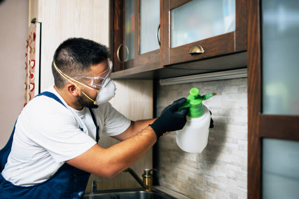 Professional Pest Control in Livermore, CA