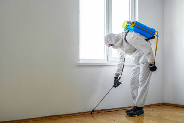 Best Residential Pest Control  in Livermore, CA