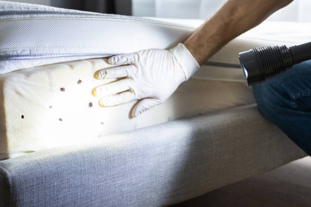 Best Commercial Pest Control Services  in Livermore, CA