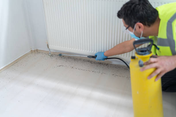 Best Best Pest Control Companies  in Livermore, CA