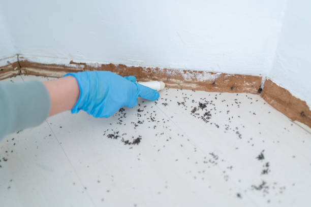 Best Pest Control Near Me  in Livermore, CA
