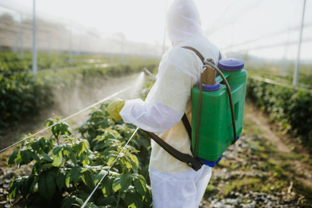 Pest Control Cost in Livermore, CA